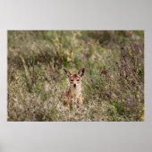 Poster Veste dans l'herbe (Devant)