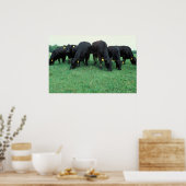 Poster Vestiaire d'Angus (Cuisine)