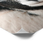 Poster Vestige D'Herdwicks (Coin)