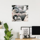 Poster Vestige D'Herdwicks (Bureau à domicile)