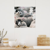 Poster Vestige D'Herdwicks (Cuisine)