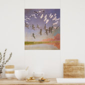 Poster Vestige d'Ibis survolant les zones humides, les oi (Cuisine)