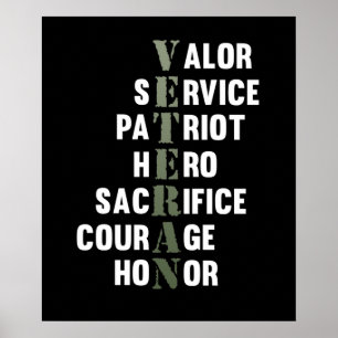 Poster Veteran Facts Happy Veterans Day Support Graphic