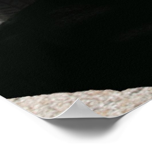 Poster 'vette (Coin)