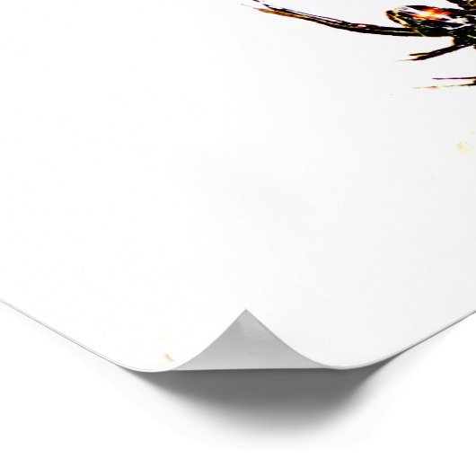 Poster veuve noire (Coin)