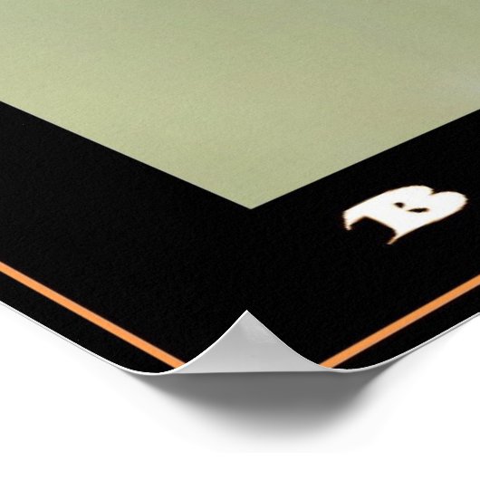 Poster Veuve noire (Coin)