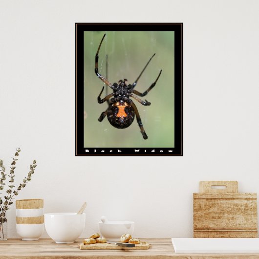 Poster Veuve noire (Cuisine)