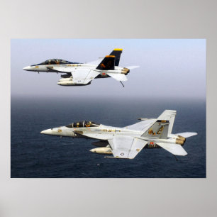 Poster VF-32 Swordsmen F-14