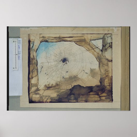 Poster Vianden à travers le Web d'une araignée (Devant)