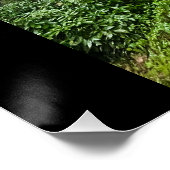 Poster Vibes portugaises (Coin)