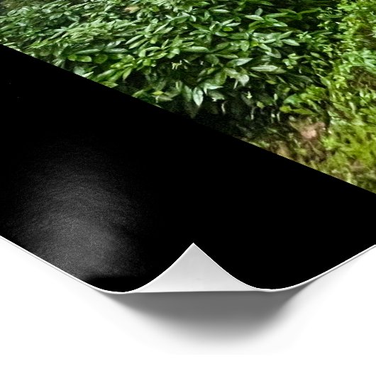 Poster Vibes portugaises (Coin)