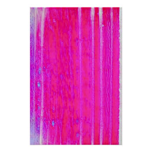 Poster Vibrant Abstrait rose et violet rayures Art