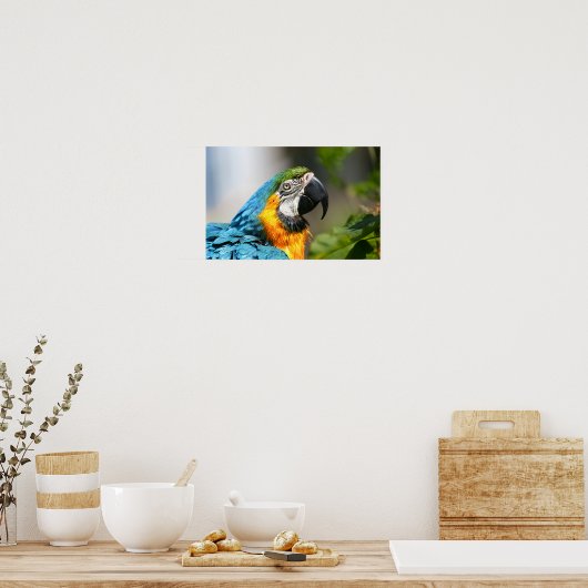 Poster Vibrant couleur Macaw (Cuisine)
