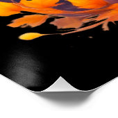 Poster Vibrant cute kitten halloween (Coin)