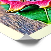 Poster Vibrant Dragon Fruit Beauté Design (Coin)
