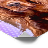 Poster Vibrant Irish Setter Pop Art (Coin)