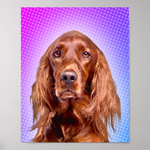 Poster Vibrant Irish Setter Pop Art