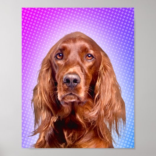 Poster Vibrant Irish Setter Pop Art (Devant)