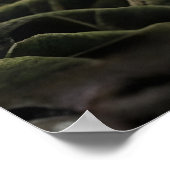 Poster Vibrant Lys Chromatique - Botanique d'Art Fin (Coin)