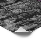 Poster Vibre, him hiver Forrest, forêt (Coin)