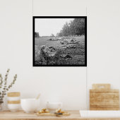 Poster Victimes pendant la bataille de Gettysburg 1863 (Cuisine)