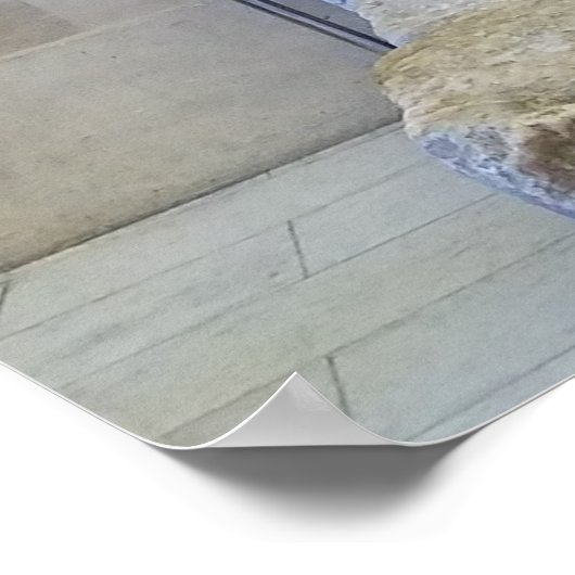 Poster Victoire ailée de Samothrace, (Coin)