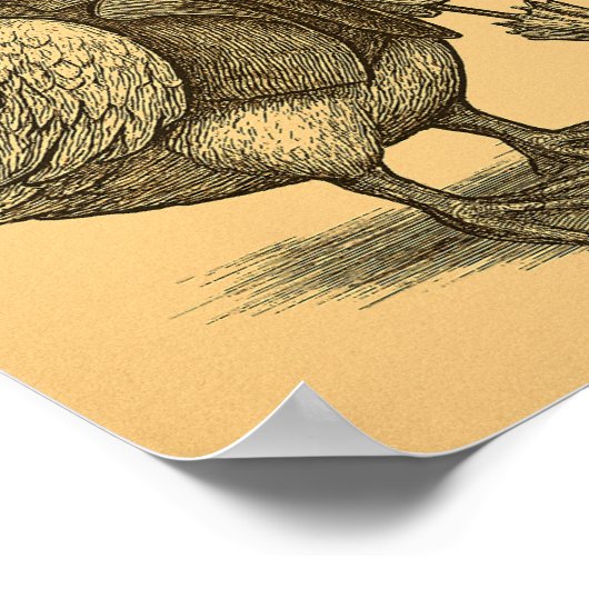 Poster Victorian Duck with Umbrella (Coin)