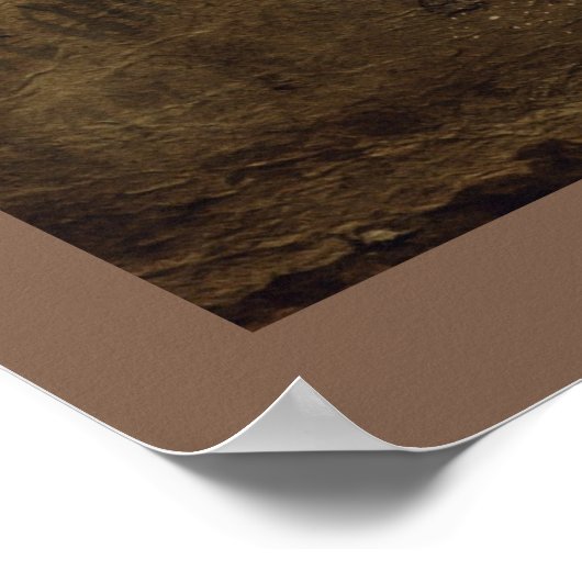 Poster Victorian Ghost Lady in Waiting (Coin)