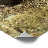 Poster VICTORIAN STAMP MILL pour MINE D'OR (Coin)