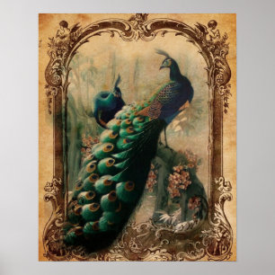Poster victorien vintage floral parisien paon