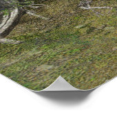 Poster Vie amérindienne (Coin)