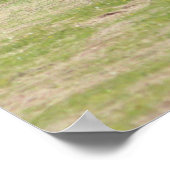 Poster Vie Amiste (Coin)