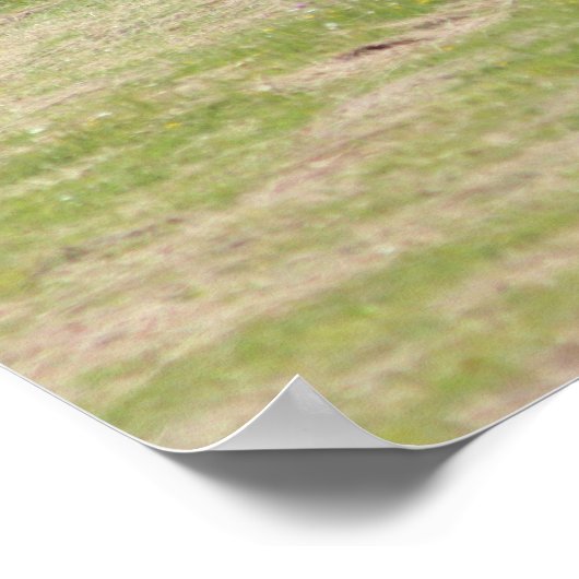 Poster Vie Amiste (Coin)