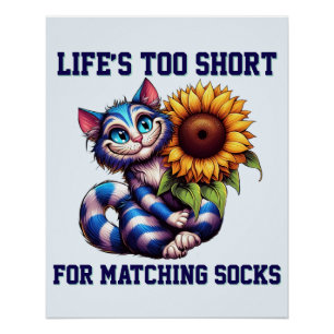 Poster Vie de chats mignonne trop courte pour les chausse