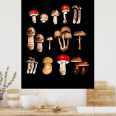 Poster Vie du champignon Picker (Cuisine)