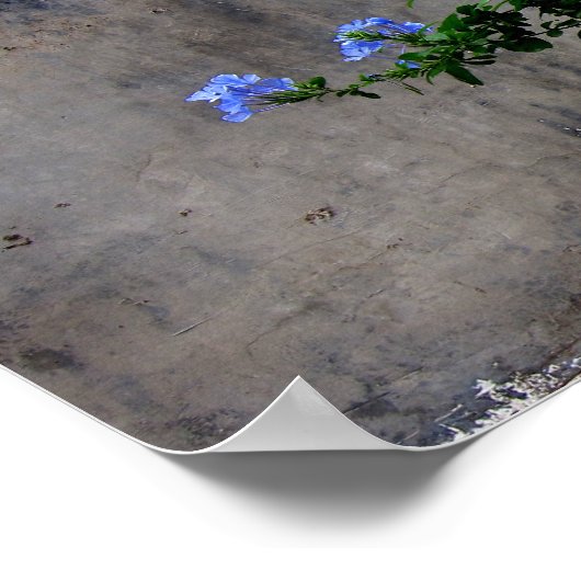 Poster Vie et mort (Coin)