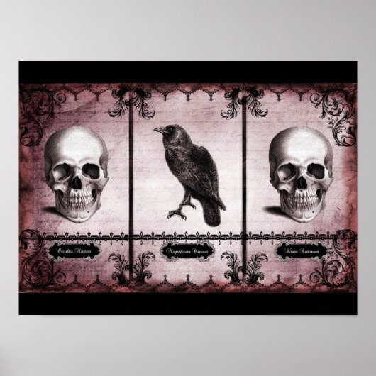 Poster Vie Éternelle (Devant)