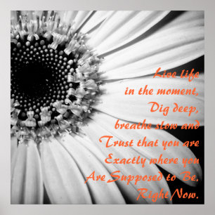 Poster Vie inspirante dans le moment