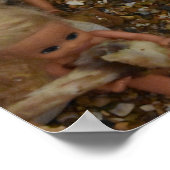 Poster Vie Jurassique. (Coin)