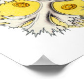 Poster Vie Macro Aquatique ~ Haeckel ~ Amoeba (Coin)