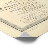 Poster Vie marine (Coin)