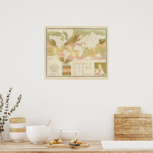 Poster Vie marine (Cuisine)