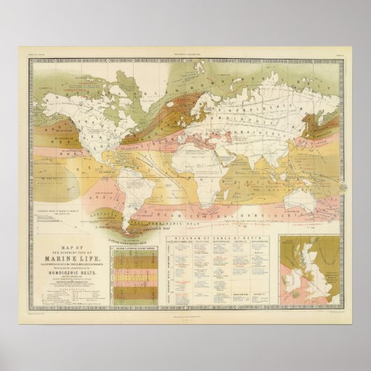 Poster Vie marine (Devant)