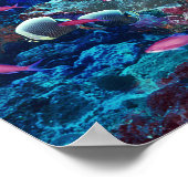 Poster Vie marine tropicale (Coin)