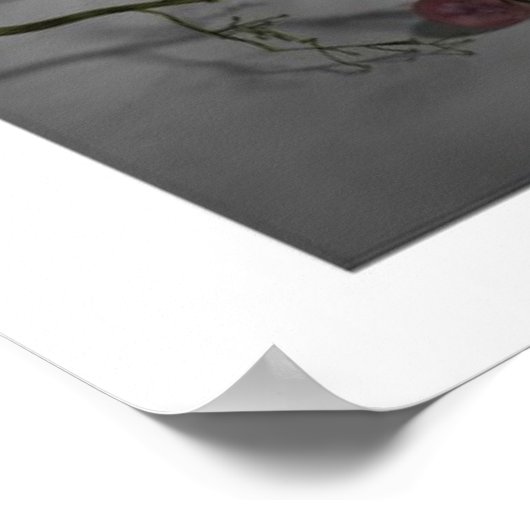 Poster Vie morte (Coin)