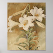 Poster Vie morte des Lys de Pâques | John La Farge (Devant)