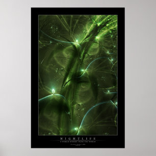 Poster Vie nocturne