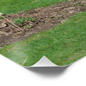 Poster Vie rurale morte avec âne (Coin)