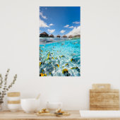Poster Vie sous-marine (Cuisine)