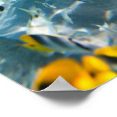 Poster Vie sous-marine (Coin)
